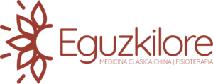 Eguzkilore – Medicina Clásica China y Fisioterapia Irún Gipuzkoa Logo